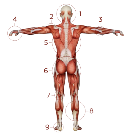 body common injuries